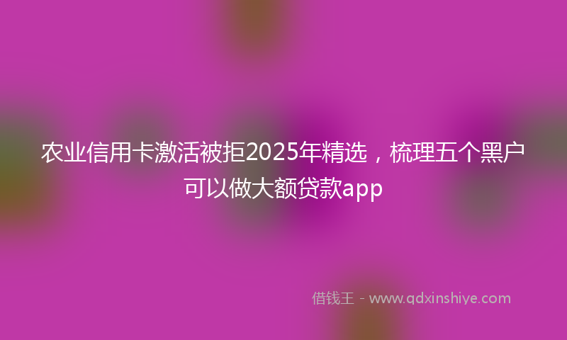 农业信用卡激活被拒2025年精选，梳理五个黑户可以做大额贷款app