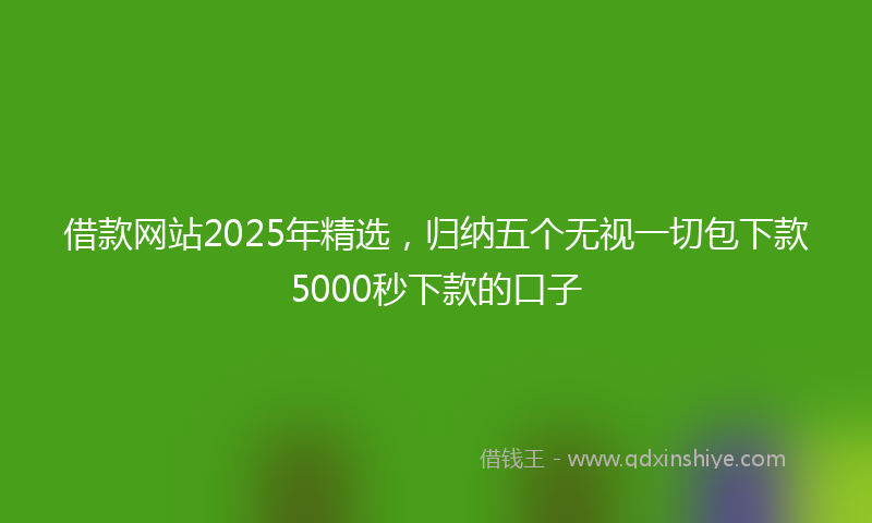 借款网站2025年精选，归纳五个无视一切包下款5000秒下款的口子