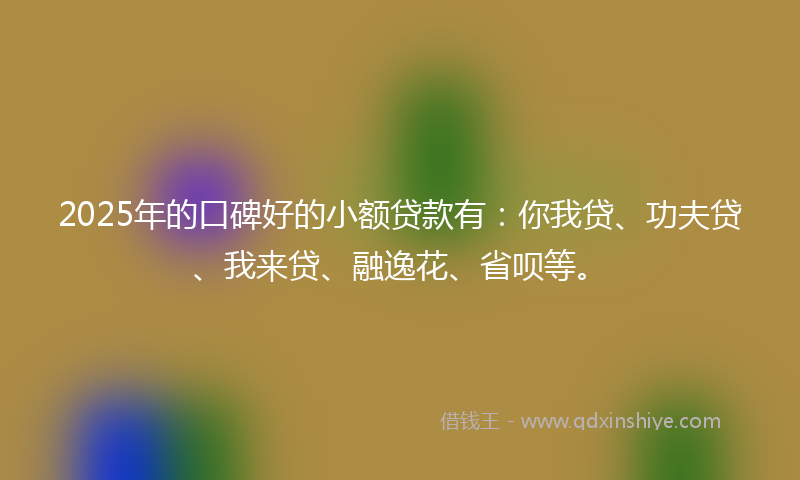 2025年的口碑好的小额贷款有：你我贷、功夫贷、我来贷、融逸花、省呗等。