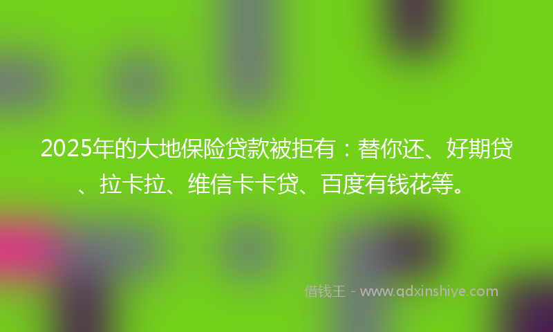 2025年的大地保险贷款被拒有：替你还、好期贷、拉卡拉、维信卡卡贷、百度有钱花等。