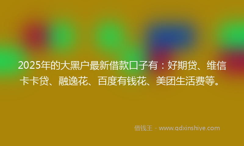2025年的大黑户最新借款口子有：好期贷、维信卡卡贷、融逸花、百度有钱花、美团生活费等。