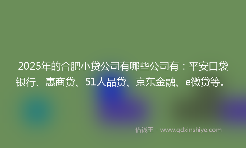 2025年的合肥小贷公司有哪些公司有：平安口袋银行、惠商贷、51人品贷、京东金融、e微贷等。