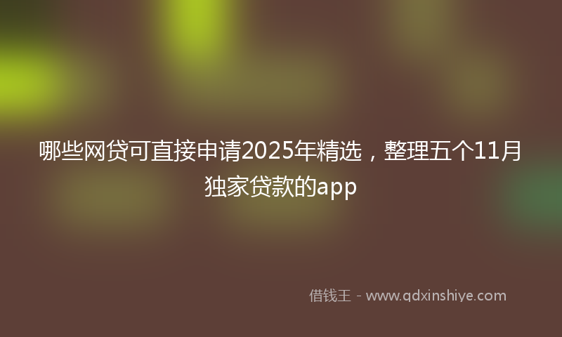 哪些网贷可直接申请2025年精选，整理五个11月独家贷款的app