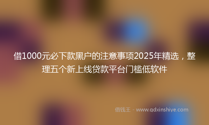 借1000元必下款黑户的注意事项2025年精选，整理五个新上线贷款平台门槛低软件