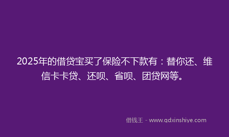 2025年的借贷宝买了保险不下款有：替你还、维信卡卡贷、还呗、省呗、团贷网等。