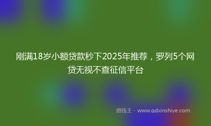 刚满18岁小额贷款秒下2025年推荐，罗列5个网贷无视不查征信平台