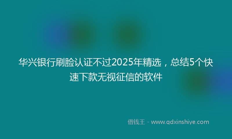 华兴银行刷脸认证不过2025年精选，总结5个快速下款无视征信的软件