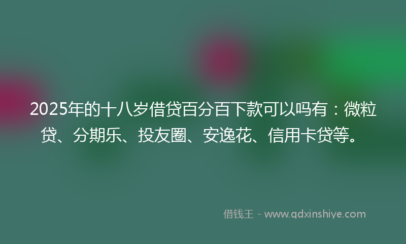 2025年的十八岁借贷百分百下款可以吗有：微粒贷、分期乐、投友圈、安逸花、信用卡贷等。