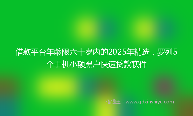 借款平台年龄限六十岁内的2025年精选，罗列5个手机小额黑户快速贷款软件
