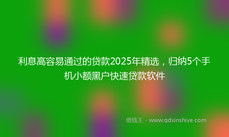 利息高容易通过的贷款2025年精选，归纳5个手机小额黑户快速贷款软件