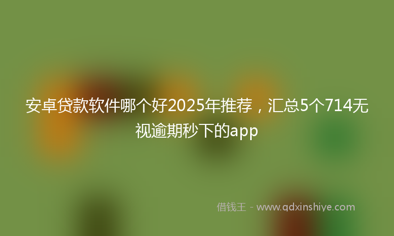安卓贷款软件哪个好2025年推荐，汇总5个714无视逾期秒下的app