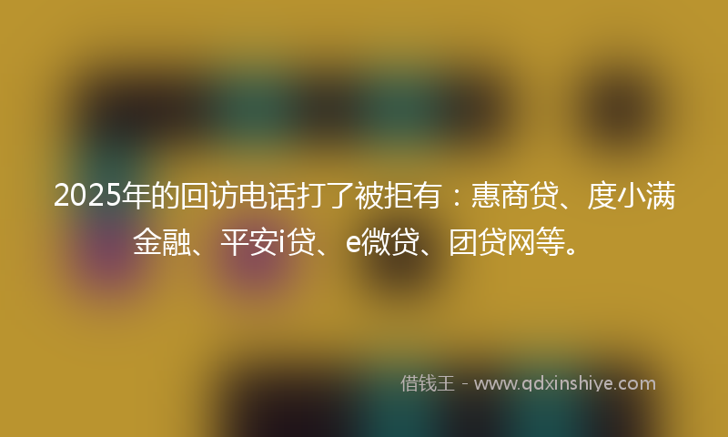 2025年的回访电话打了被拒有：惠商贷、度小满金融、平安i贷、e微贷、团贷网等。