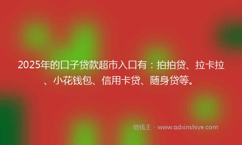 2025年的口子贷款超市入口有：拍拍贷、拉卡拉、小花钱包、信用卡贷、随身贷等。