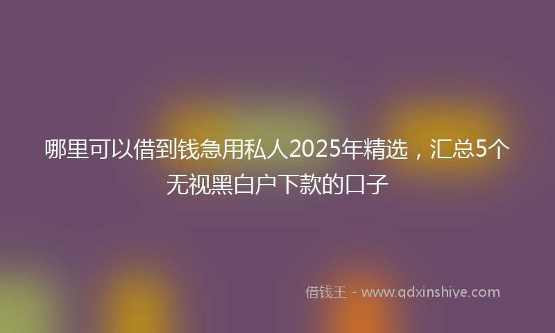 哪里可以借到钱急用私人2025年精选，汇总5个无视黑白户下款的口子