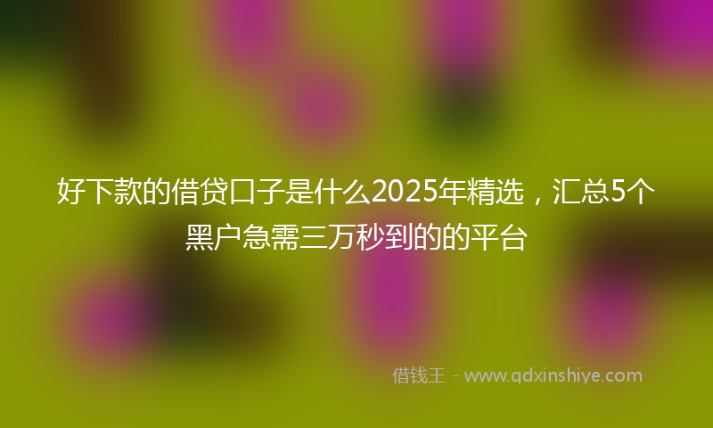 好下款的借贷口子是什么2025年精选，汇总5个黑户急需三万秒到的的平台