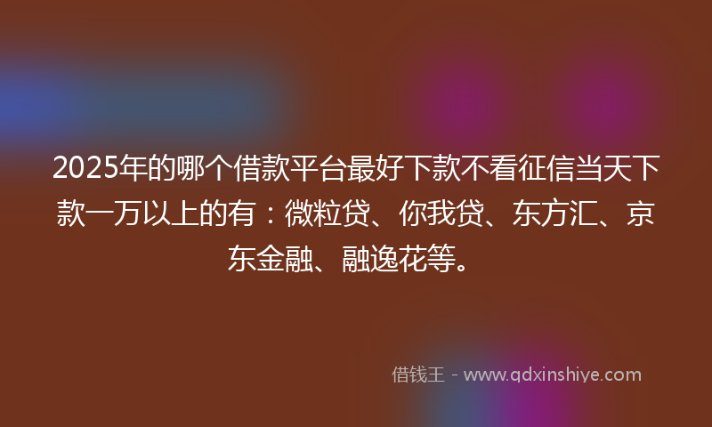 2025年的哪个借款平台最好下款不看征信当天下款一万以上的有：微粒贷、你我贷、东方汇、京东金融、融逸花等。