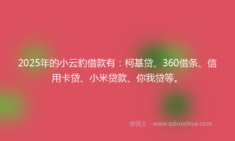 2025年的小云豹借款有：柯基贷、360借条、信用卡贷、小米贷款、你我贷等。