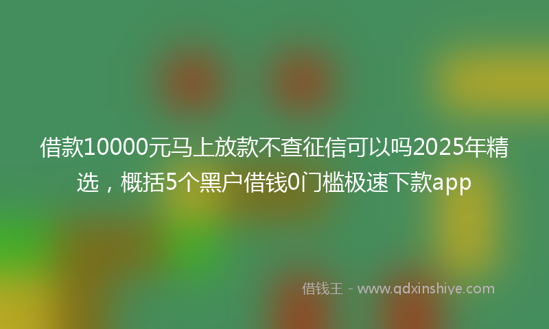 借款10000元马上放款不查征信可以吗2025年精选，概括5个黑户借钱0门槛极速下款app