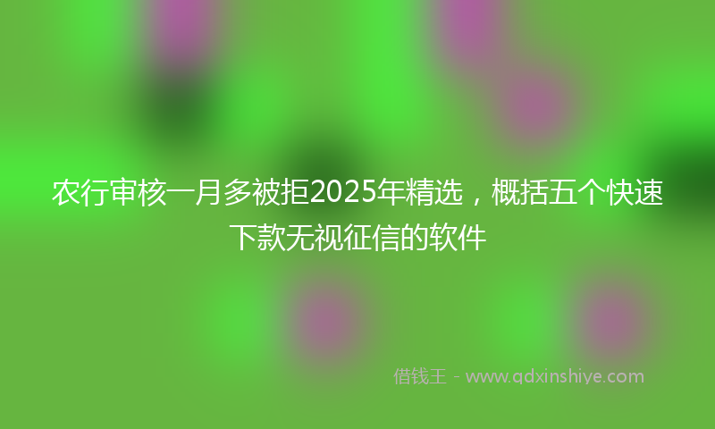 农行审核一月多被拒2025年精选，概括五个快速下款无视征信的软件