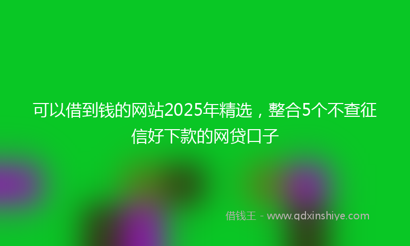 可以借到钱的网站2025年精选，整合5个不查征信好下款的网贷口子