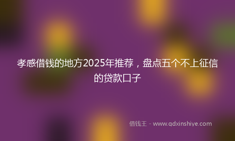 孝感借钱的地方2025年推荐，盘点五个不上征信的贷款口子