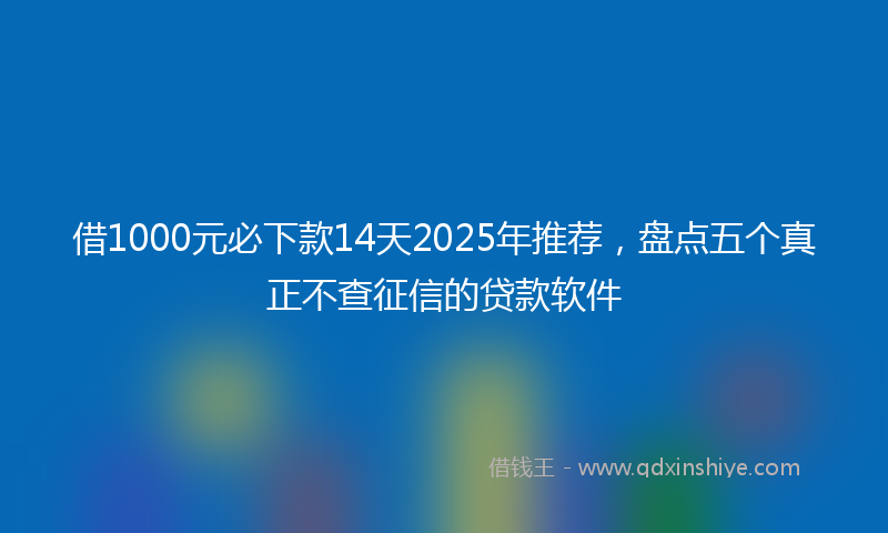 借1000元必下款14天2025年推荐，盘点五个真正不查征信的贷款软件