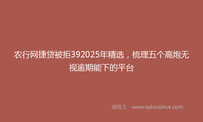 农行网捷贷被拒392025年精选，梳理五个高炮无视逾期能下的平台
