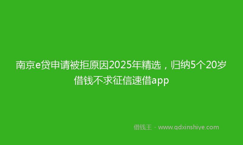 南京e贷申请被拒原因2025年精选，归纳5个20岁借钱不求征信速借app