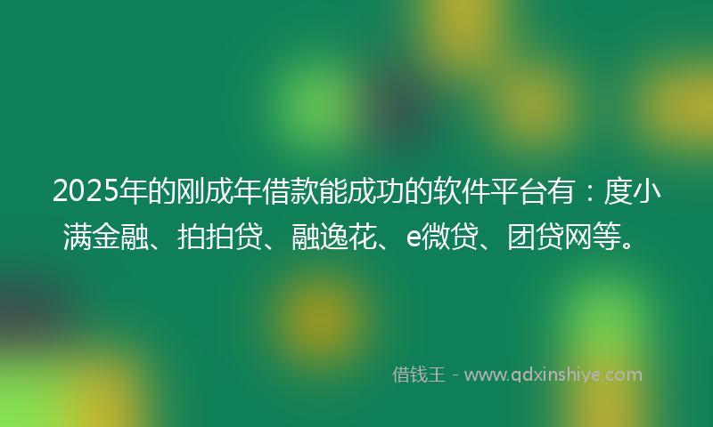 2025年的刚成年借款能成功的软件平台有：度小满金融、拍拍贷、融逸花、e微贷、团贷网等。