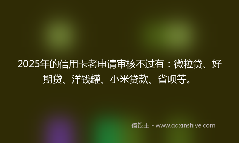 2025年的信用卡老申请审核不过有:微粒贷、好期贷、洋钱罐、小米贷款、省呗等。