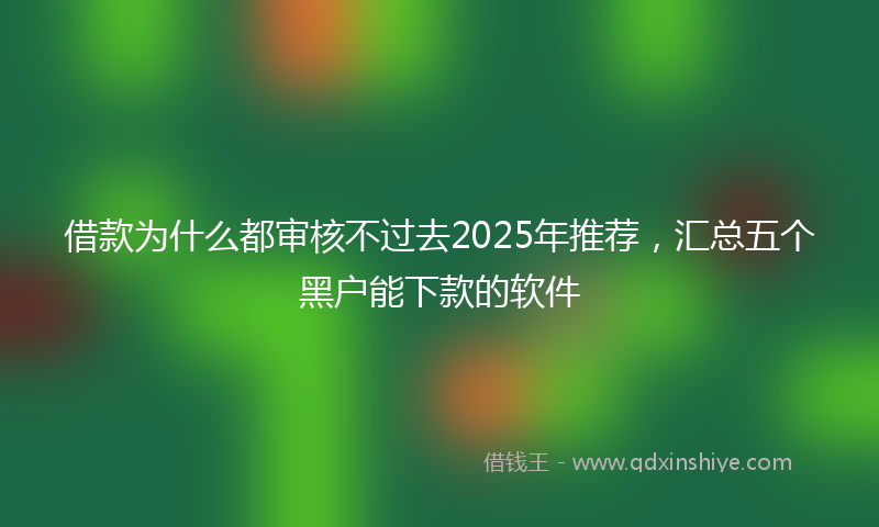 借款为什么都审核不过去2025年推荐，汇总五个黑户能下款的软件