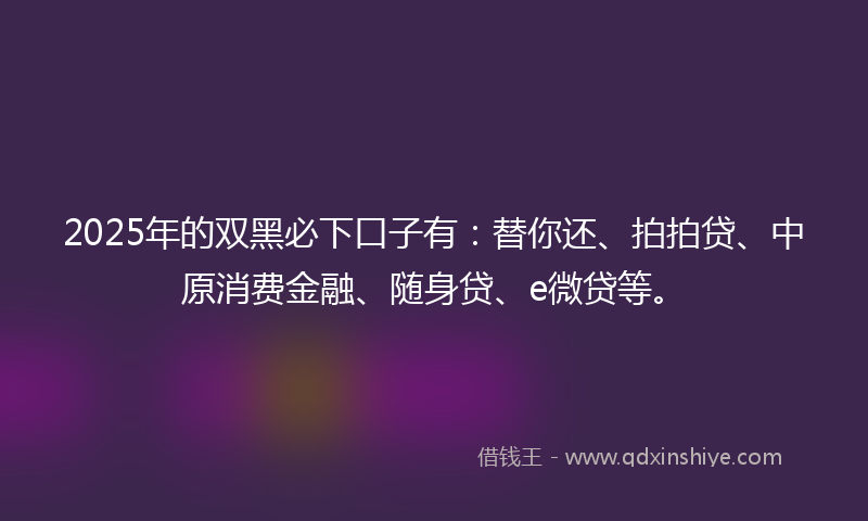 2025年的双黑必下口子有：替你还、拍拍贷、中原消费金融、随身贷、e微贷等。