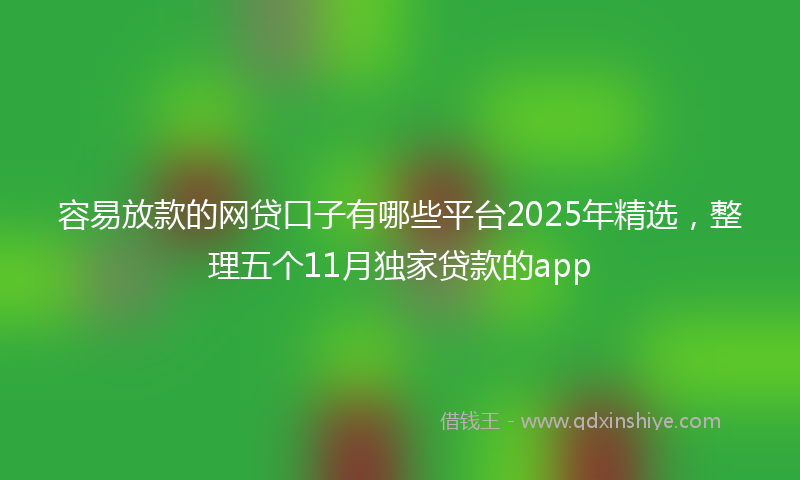 容易放款的网贷口子有哪些平台2025年精选，整理五个11月独家贷款的app