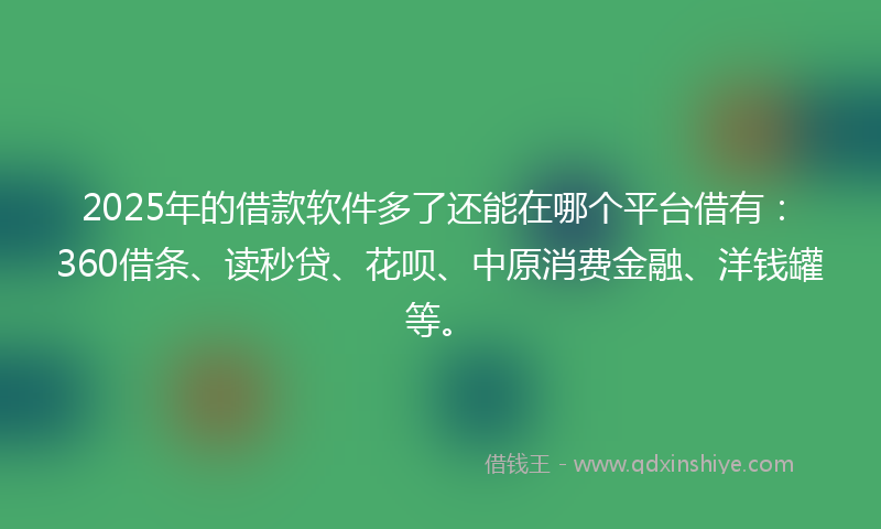 2025年的借款软件多了还能在哪个平台借有：360借条、读秒贷、花呗、中原消费金融、洋钱罐等。