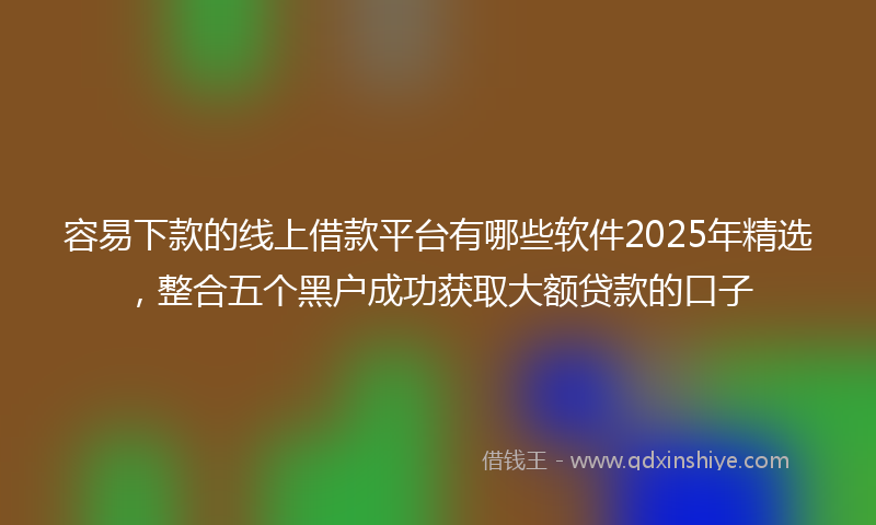 容易下款的线上借款平台有哪些软件2025年精选，整合五个黑户成功获取大额贷款的口子