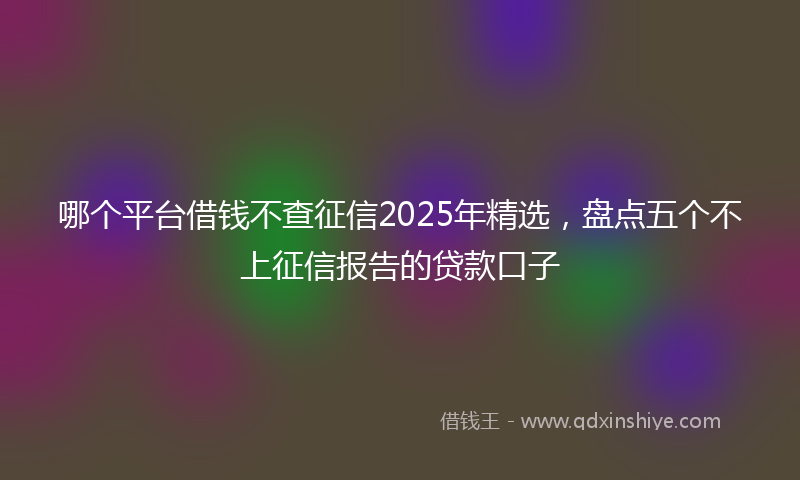 哪个平台借钱不查征信2025年精选，盘点五个不上征信报告的贷款口子