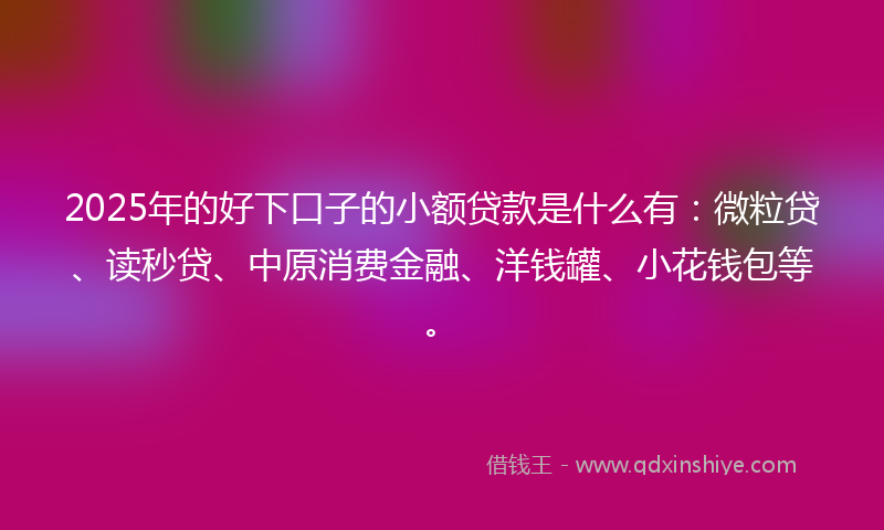 2025年的好下口子的小额贷款是什么有：微粒贷、读秒贷、中原消费金融、洋钱罐、小花钱包等。
