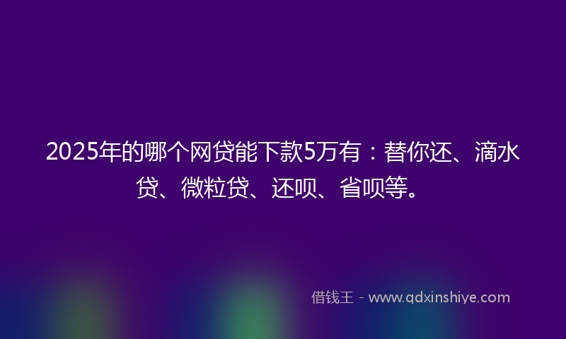 2025年的哪个网贷能下款5万有：替你还、滴水贷、微粒贷、还呗、省呗等。