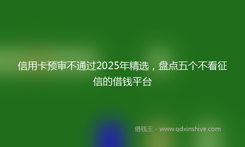 信用卡预审不通过2025年精选，盘点五个不看征信的借钱平台