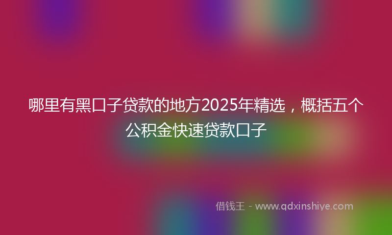 哪里有黑口子贷款的地方2025年精选，概括五个公积金快速贷款口子