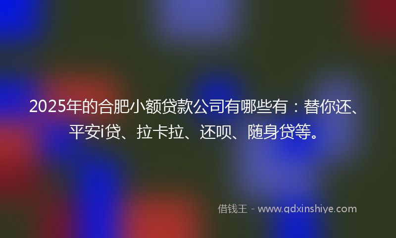 2025年的合肥小额贷款公司有哪些有：替你还、平安i贷、拉卡拉、还呗、随身贷等。