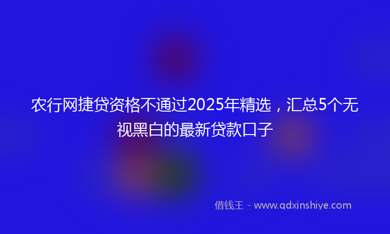 农行网捷贷资格不通过2025年精选，汇总5个无视黑白的最新贷款口子