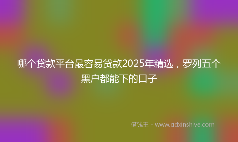 哪个贷款平台最容易贷款2025年精选，罗列五个黑户都能下的口子
