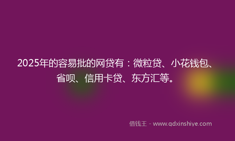 2025年的容易批的网贷有：微粒贷、小花钱包、省呗、信用卡贷、东方汇等。