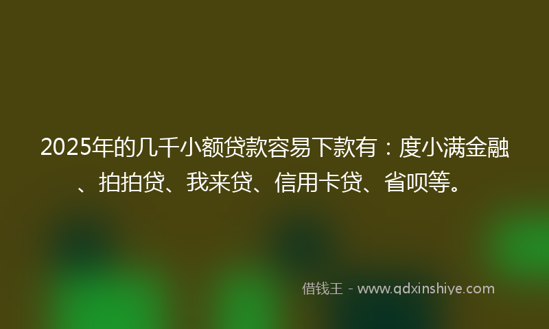 2025年的几千小额贷款容易下款有：度小满金融、拍拍贷、我来贷、信用卡贷、省呗等。
