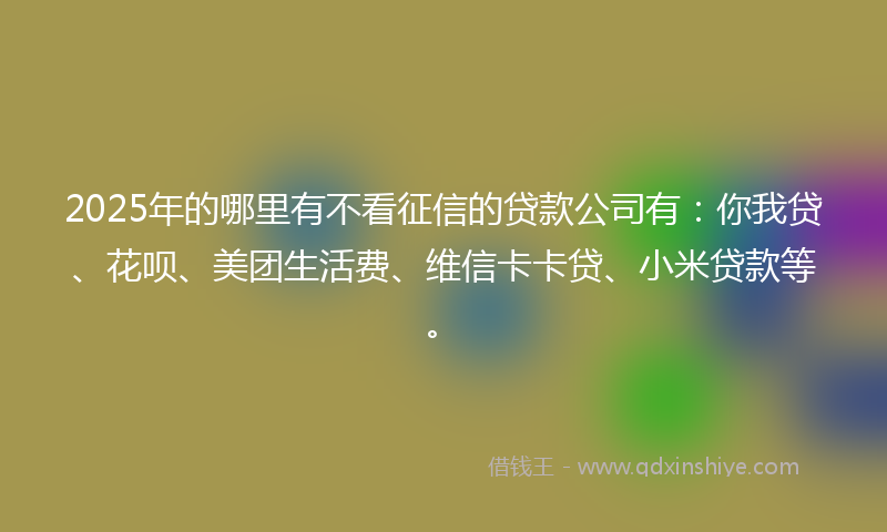 2025年的哪里有不看征信的贷款公司有：你我贷、花呗、美团生活费、维信卡卡贷、小米贷款等。