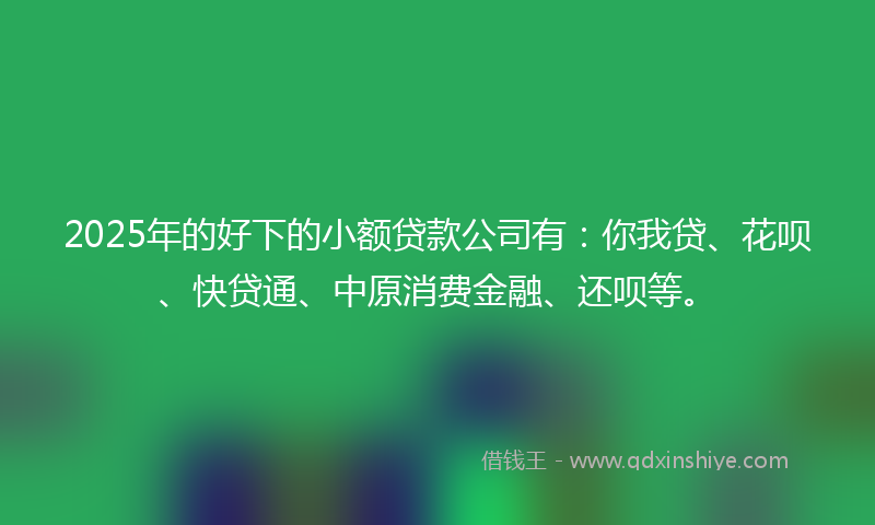 2025年的好下的小额贷款公司有：你我贷、花呗、快贷通、中原消费金融、还呗等。