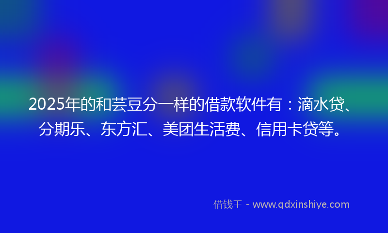 2025年的和芸豆分一样的借款软件有：滴水贷、分期乐、东方汇、美团生活费、信用卡贷等。
