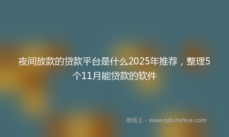 夜间放款的贷款平台是什么2025年推荐，整理5个11月能贷款的软件