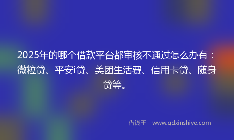 2025年的哪个借款平台都审核不通过怎么办有：微粒贷、平安i贷、美团生活费、信用卡贷、随身贷等。
